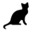 Kotik.org